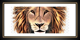 Lion Face