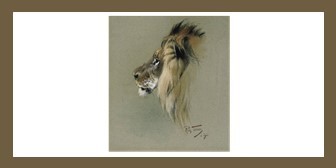 Retiree Lion