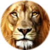 Small_f34f6e81-980f-40da-8268-047162872451