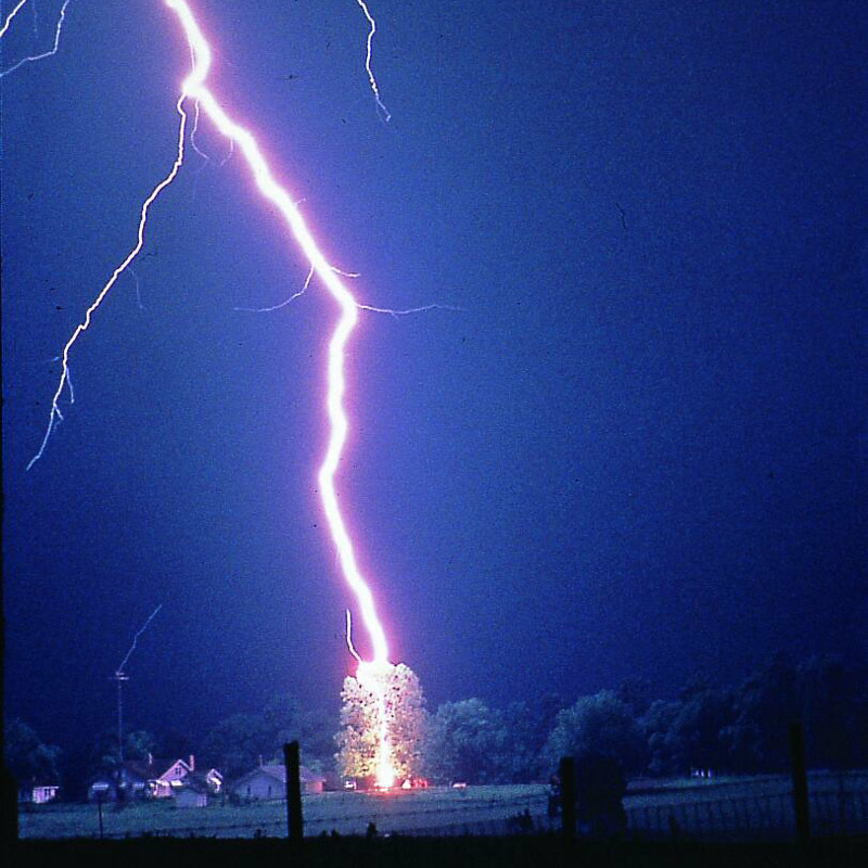 Lightning Hits Tree